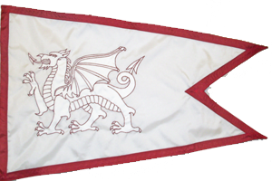 pennants