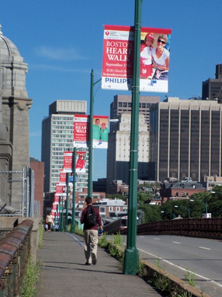 Light Pole Banners img 52