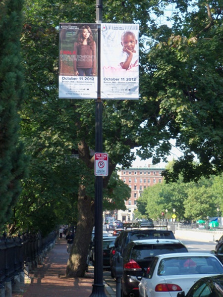 Light Pole Banners img 56