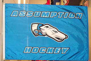 custom printed flags