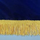 FRINGE