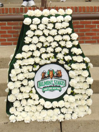 A truly unique blanket made for the winning horse in the Belmont Stakes.