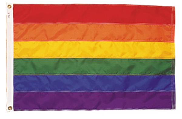 Rainbow flags are the perfect way to show your respect for diversity and are available in many different sizes.