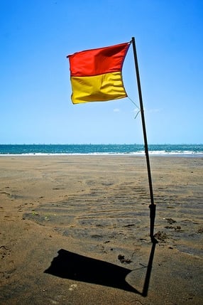 lifeguard flags