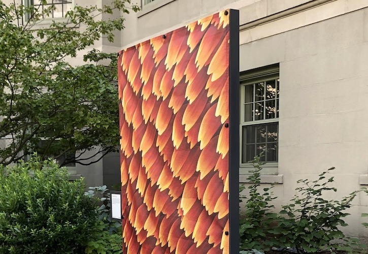 MASCO Art Vinyl